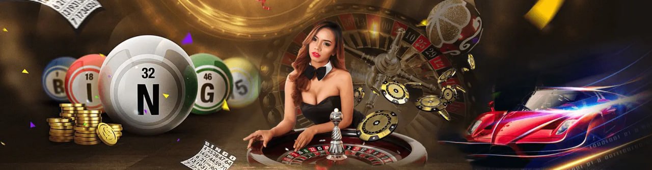 555win app